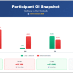 FII DII data 13 November 2025